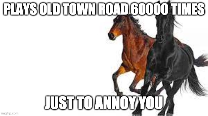 PLAYS OLD TOWN ROAD 60000 TIMES JUST TO ANNOY YOU | made w/ Imgflip meme maker