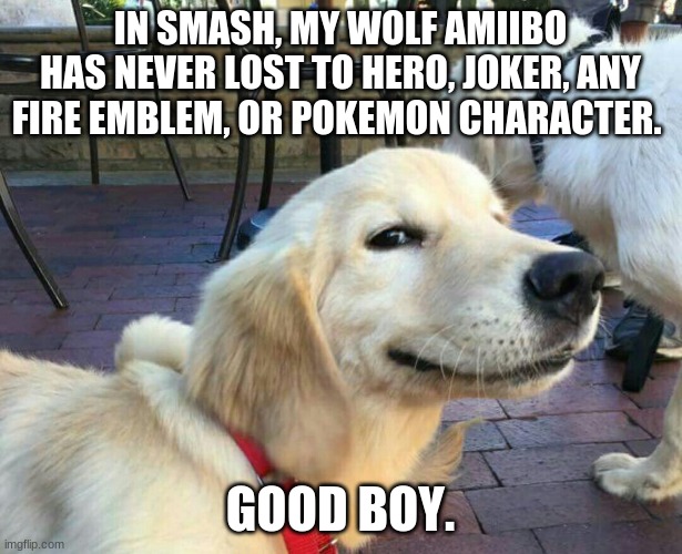 Wolf amiibo has been a good boy. | IN SMASH, MY WOLF AMIIBO HAS NEVER LOST TO HERO, JOKER, ANY FIRE EMBLEM, OR POKEMON CHARACTER. GOOD BOY. | image tagged in good boy dog | made w/ Imgflip meme maker