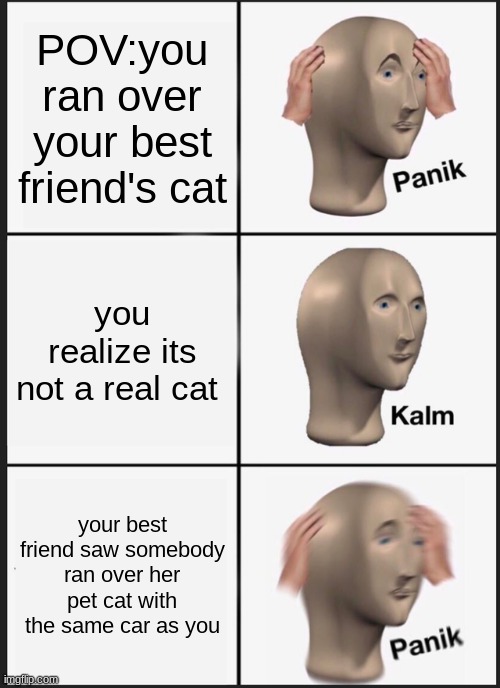 panik and kalm | POV:you ran over your best friend's cat; you realize its not a real cat; your best friend saw somebody ran over her pet cat with the same car as you | image tagged in memes,panik kalm panik | made w/ Imgflip meme maker