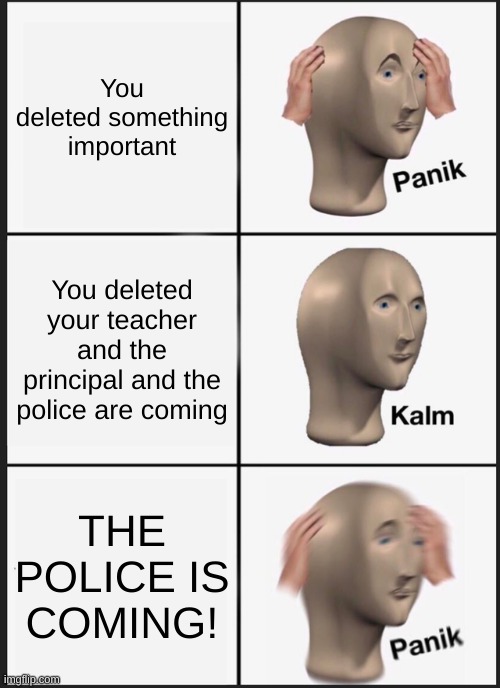 Better yet you deleted all of the schools in the world! | You deleted something important; You deleted your teacher and the principal and the police are coming; THE POLICE IS COMING! | image tagged in memes,panik kalm panik | made w/ Imgflip meme maker