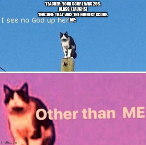 Hail pole cat |  TEACHER: YOUR SCORE WAS 25%
CLASS: (LAUGHS)
TEACHER: THAT WAS THE HIGHEST SCORE.
ME: | image tagged in hail pole cat | made w/ Imgflip meme maker