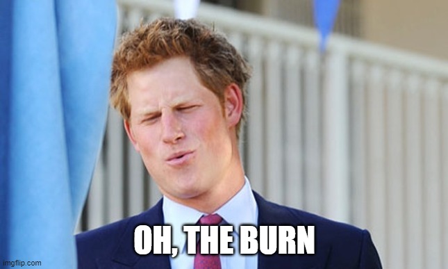 Prince harry | OH, THE BURN | image tagged in prince harry | made w/ Imgflip meme maker