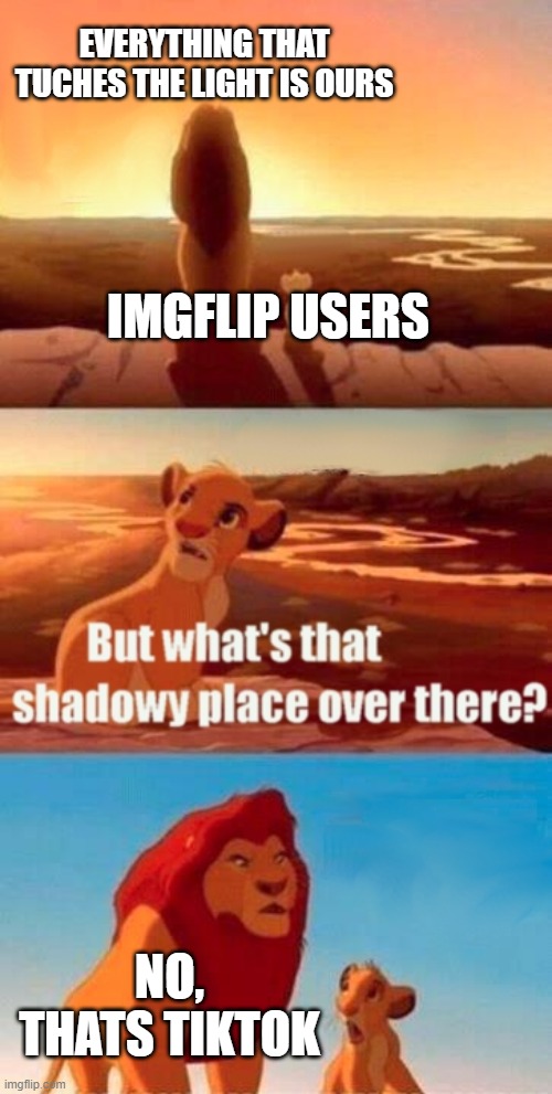 Simba Shadowy Place | EVERYTHING THAT TUCHES THE LIGHT IS OURS; IMGFLIP USERS; NO, THATS TIKTOK | image tagged in memes,simba shadowy place | made w/ Imgflip meme maker