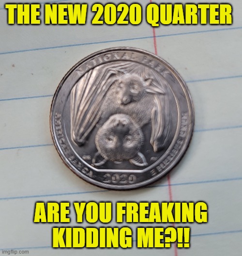 Think think you are not being played? | THE NEW 2020 QUARTER; ARE YOU FREAKING KIDDING ME?!! | image tagged in bat,quarter,bat quiarter,2020 quarter | made w/ Imgflip meme maker