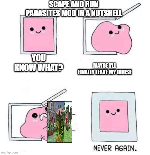 Never again | SCAPE AND RUN PARASITES MOD IN A NUTSHELL; YOU KNOW WHAT? MAYBE I'LL FINALLY LEAVE MY HOUSE | image tagged in never again | made w/ Imgflip meme maker