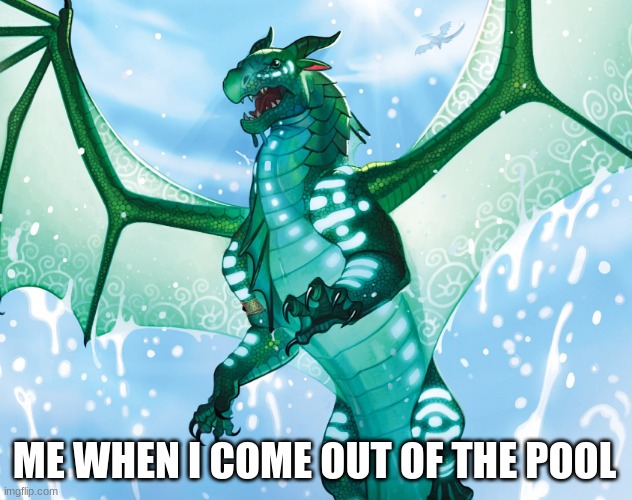 SUMMER IS HERE | ME WHEN I COME OUT OF THE POOL | image tagged in dragon from wings of fire,summer vacation,summer,pool | made w/ Imgflip meme maker