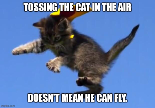 Superhero Cat | TOSSING THE CAT IN THE AIR; DOESN’T MEAN HE CAN FLY. | image tagged in superhero cat | made w/ Imgflip meme maker