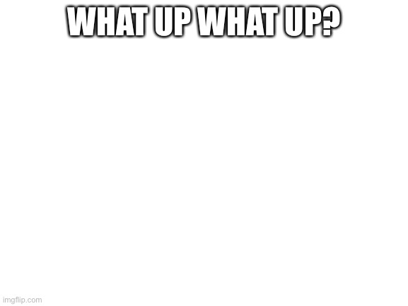 plz next time have a title |  WHAT UP WHAT UP? | image tagged in blank white template | made w/ Imgflip meme maker