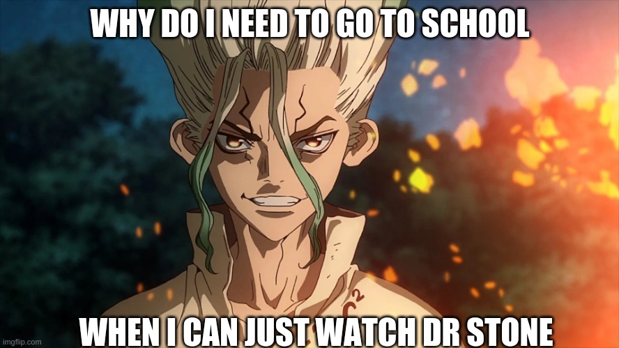 Dr Stone | WHY DO I NEED TO GO TO SCHOOL; WHEN I CAN JUST WATCH DR STONE | made w/ Imgflip meme maker