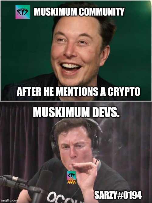 Crypto community waiting for elon tweets | MUSKIMUM COMMUNITY; AFTER HE MENTIONS A CRYPTO; MUSKIMUM DEVS. SARZY#0194 | image tagged in cryptocurrency,crypto | made w/ Imgflip meme maker