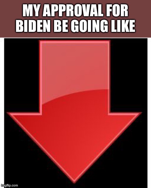 Even some of us democrats are starting to dislike Biden. | MY APPROVAL FOR BIDEN BE GOING LIKE | image tagged in down-vote | made w/ Imgflip meme maker