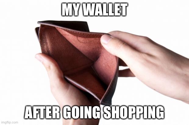 Empty wallet | MY WALLET; AFTER GOING SHOPPING | image tagged in empty wallet | made w/ Imgflip meme maker