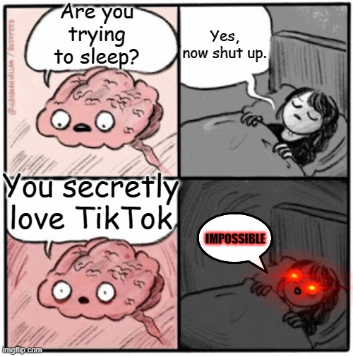 That's horrible | Are you trying to sleep? Yes, now shut up. You secretly love TikTok; IMPOSSIBLE | image tagged in brain before sleep | made w/ Imgflip meme maker