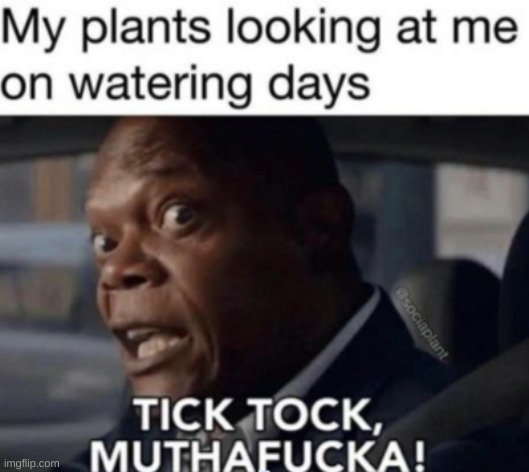 tick tok | image tagged in funny | made w/ Imgflip meme maker