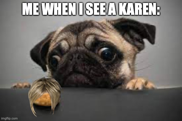 ME WHEN I SEE A KAREN: | image tagged in karen | made w/ Imgflip meme maker