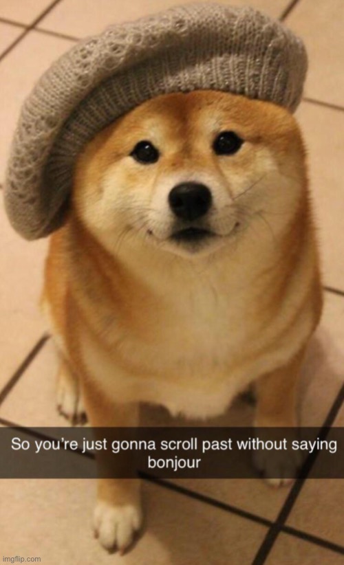 A shiba for u | image tagged in cute | made w/ Imgflip meme maker