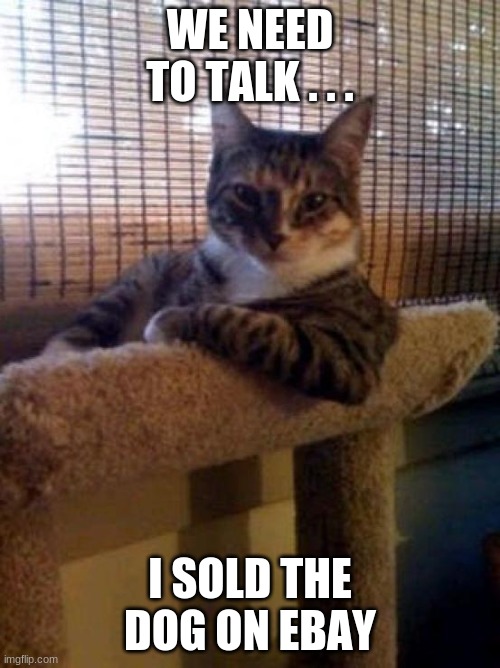 I sold the dog | WE NEED TO TALK . . . I SOLD THE DOG ON EBAY | image tagged in memes,the most interesting cat in the world | made w/ Imgflip meme maker