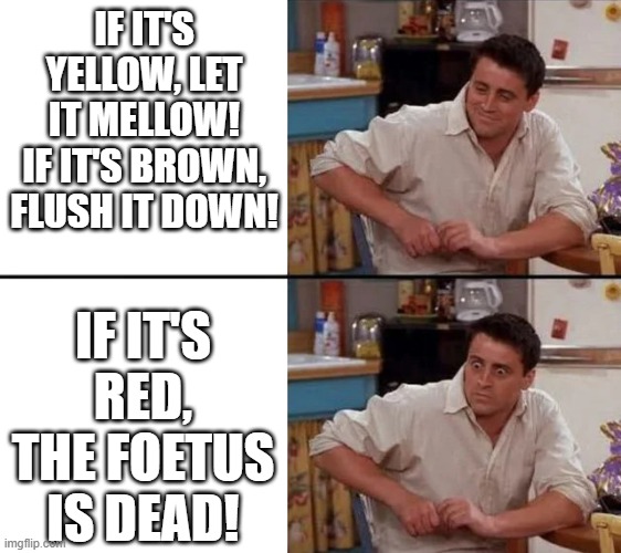 If it's yellow, let it mellow... | IF IT'S YELLOW, LET IT MELLOW!
IF IT'S BROWN, FLUSH IT DOWN! IF IT'S RED, THE FOETUS IS DEAD! | image tagged in surprised joey | made w/ Imgflip meme maker