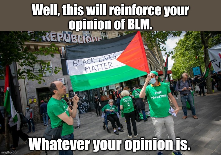 BLM has  declared solidarity with Hamas. | Well, this will reinforce your
opinion of BLM. Whatever your opinion is. | image tagged in blm,palestine | made w/ Imgflip meme maker