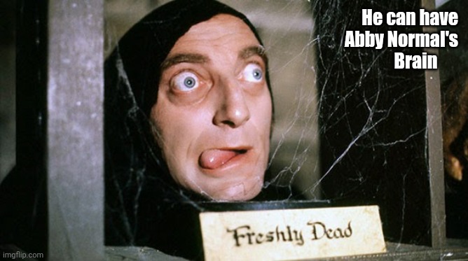 Young Frankenstein Marty Feldman | He can have
Abby Normal's
Brain | image tagged in young frankenstein marty feldman | made w/ Imgflip meme maker