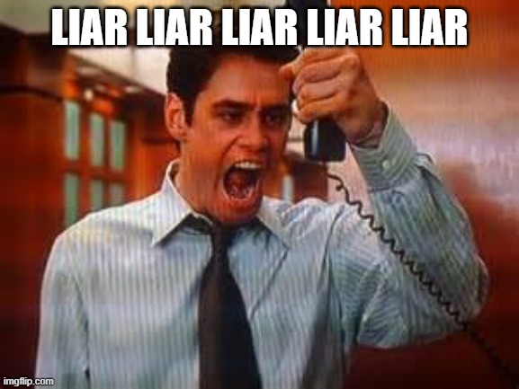 Liar Liar | LIAR LIAR LIAR LIAR LIAR | image tagged in liar liar | made w/ Imgflip meme maker