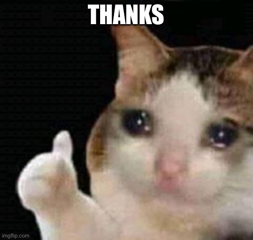 sad thumbs up cat | THANKS | image tagged in sad thumbs up cat | made w/ Imgflip meme maker