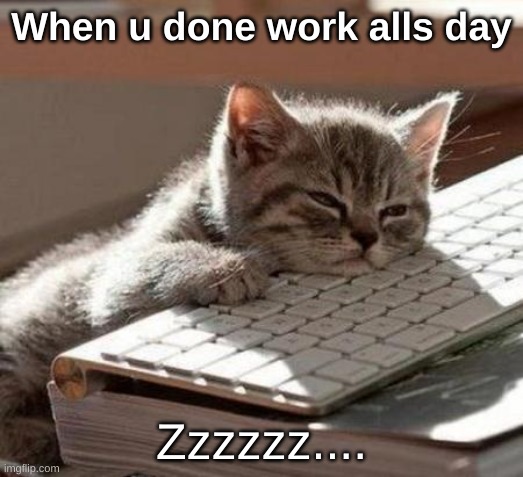 tired cat | When u done work alls day; Zzzzzz.... | image tagged in tired cat | made w/ Imgflip meme maker