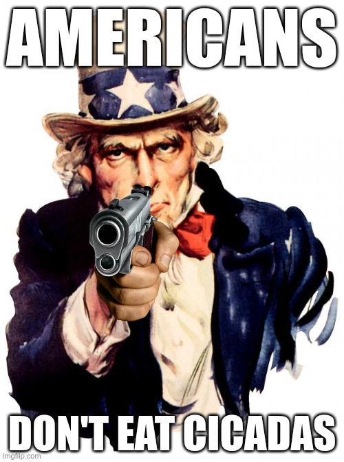 Don't let anyone take your holidays, your guns, or tell you what to eat | AMERICANS; DON'T EAT CICADAS | image tagged in memes,uncle sam | made w/ Imgflip meme maker