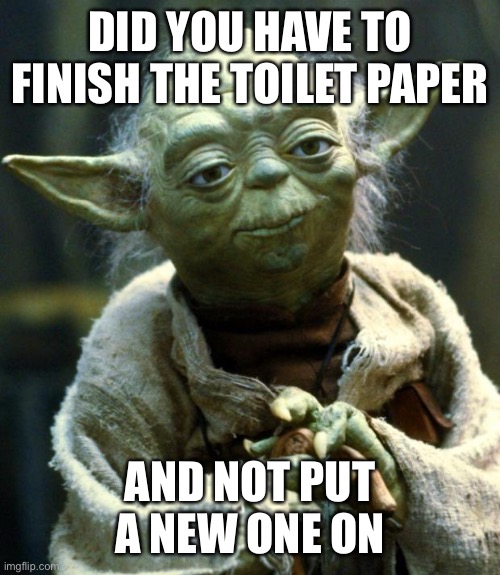 Star Wars Yoda | DID YOU HAVE TO FINISH THE TOILET PAPER; AND NOT PUT A NEW ONE ON | image tagged in memes,star wars yoda | made w/ Imgflip meme maker