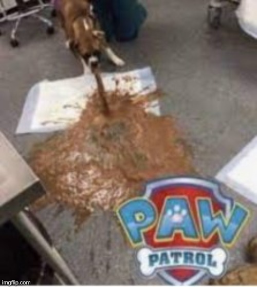 projectile patrol | image tagged in projectile patrol | made w/ Imgflip meme maker