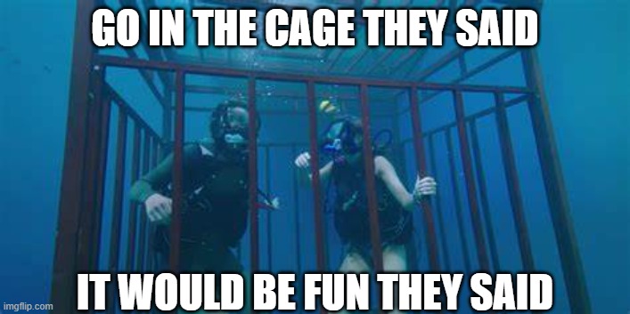 shark cage |  GO IN THE CAGE THEY SAID; IT WOULD BE FUN THEY SAID | image tagged in shark attack | made w/ Imgflip meme maker