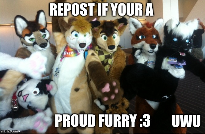 PAWroud furry | REPOST IF YOUR A; UWU | image tagged in furry,proud furry,x3 | made w/ Imgflip meme maker