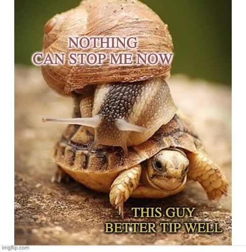 Who knew THIS template was out there? | NOTHING CAN STOP ME NOW; THIS GUY BETTER TIP WELL | image tagged in snail riding turtle,snail,turtle | made w/ Imgflip meme maker