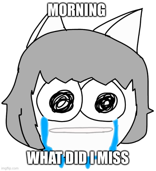 Crying Moneko | MORNING; WHAT DID I MISS | image tagged in crying moneko | made w/ Imgflip meme maker