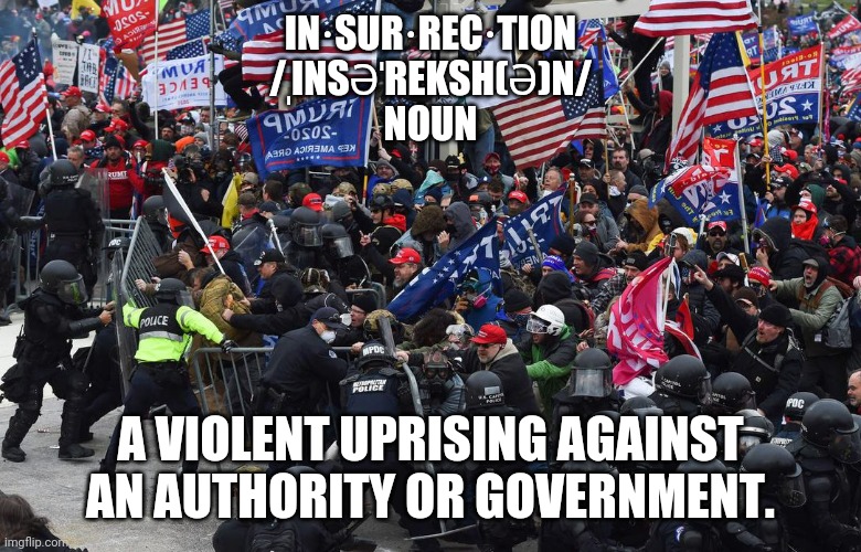 DC riot | IN·SUR·REC·TION
/ˌINSƏˈREKSH(Ə)N/
NOUN A VIOLENT UPRISING AGAINST AN AUTHORITY OR GOVERNMENT. | image tagged in dc riot | made w/ Imgflip meme maker