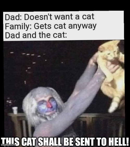 Hell | THIS CAT SHALL BE SENT TO HELL! | image tagged in success kid | made w/ Imgflip meme maker