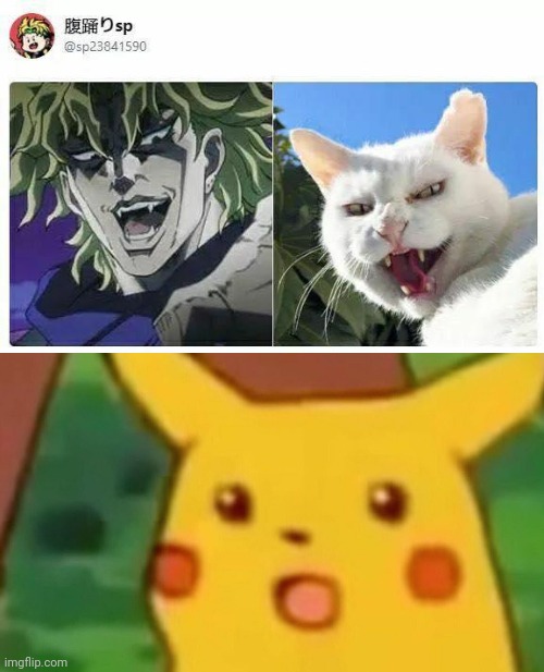 Who here thought Dio only looked like Kurama? | image tagged in memes,surprised pikachu,same energy,dio brando,angry cat,jojo's bizarre adventure | made w/ Imgflip meme maker