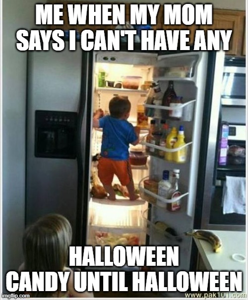 baby getting food from fridge | ME WHEN MY MOM SAYS I CAN'T HAVE ANY; HALLOWEEN CANDY UNTIL HALLOWEEN | image tagged in baby getting food from fridge | made w/ Imgflip meme maker