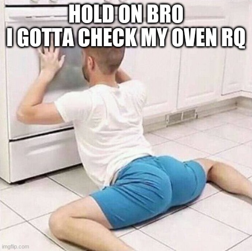 Man Checking Oven | HOLD ON BRO
I GOTTA CHECK MY OVEN RQ | image tagged in man checking oven | made w/ Imgflip meme maker