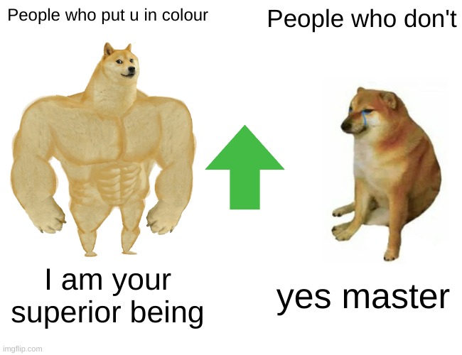 dogt | People who put u in colour; People who don't; I am your superior being; yes master | image tagged in memes,buff doge vs cheems | made w/ Imgflip meme maker