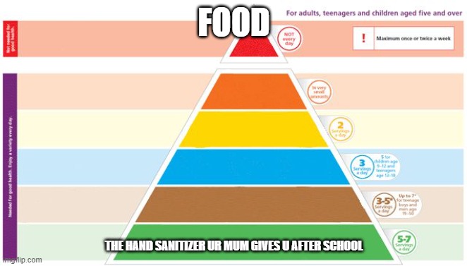 Food Pyramid | FOOD; THE HAND SANITIZER UR MUM GIVES U AFTER SCHOOL | image tagged in food pyramid | made w/ Imgflip meme maker