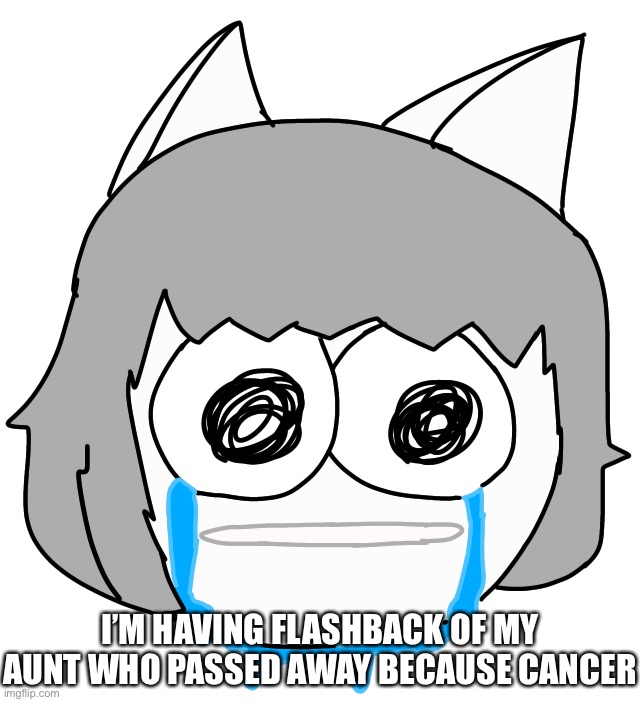 Crying Moneko | I’M HAVING FLASHBACK OF MY AUNT WHO PASSED AWAY BECAUSE CANCER | image tagged in crying moneko | made w/ Imgflip meme maker