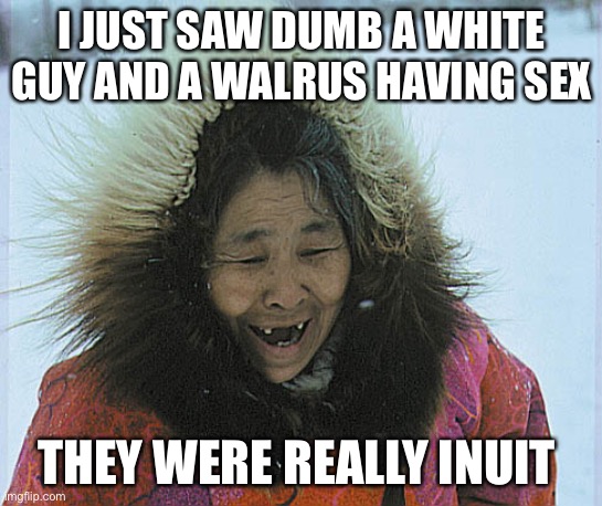 eskimo | I JUST SAW DUMB A WHITE GUY AND A WALRUS HAVING SEX; THEY WERE REALLY INUIT | image tagged in eskimo | made w/ Imgflip meme maker