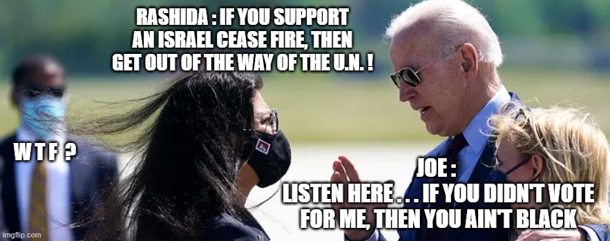 Did you vote? | RASHIDA : IF YOU SUPPORT AN ISRAEL CEASE FIRE, THEN GET OUT OF THE WAY OF THE U.N. ! W T F  ? JOE : 
LISTEN HERE . . . IF YOU DIDN'T VOTE FOR ME, THEN YOU AIN'T BLACK | image tagged in talib,biden,israel,palestine,conflict,liberals | made w/ Imgflip meme maker