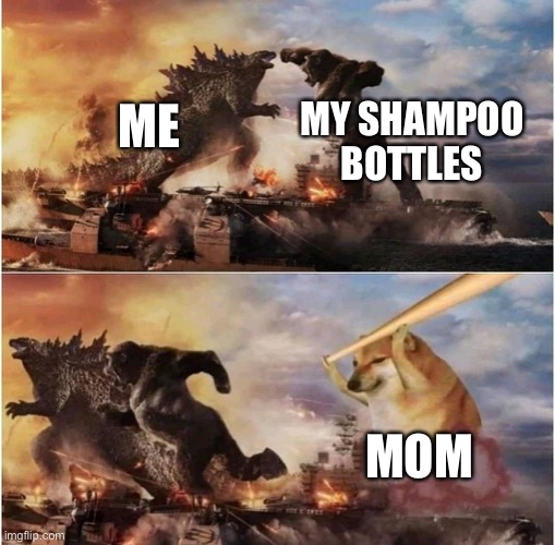 Arguments be like | MY SHAMPOO BOTTLES; ME; MOM | image tagged in kong godzilla doge,arguments | made w/ Imgflip meme maker