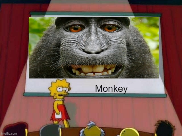 Lisa Simpson's Presentation | Monkey | image tagged in lisa simpson's presentation | made w/ Imgflip meme maker