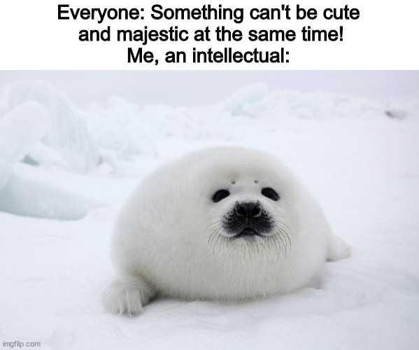 All hail the blubbery boi! | Everyone: Something can't be cute
 and majestic at the same time!
Me, an intellectual: | image tagged in seal,fat,majestic,cute,your mom | made w/ Imgflip meme maker