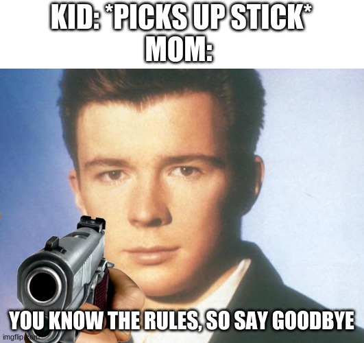 this is true | KID: *PICKS UP STICK*
MOM:; YOU KNOW THE RULES, SO SAY GOODBYE | image tagged in you know the rules and so do i say goodbye | made w/ Imgflip meme maker