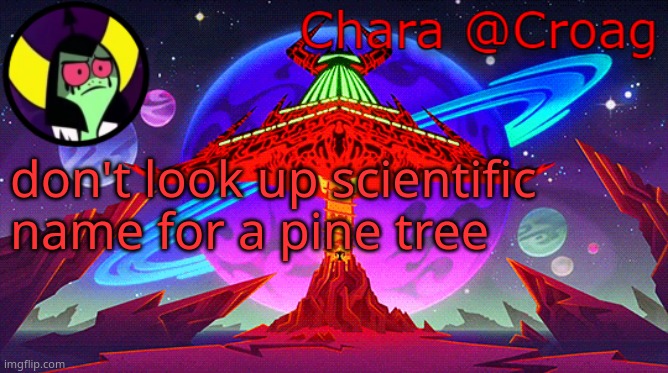 Chara's Lord Dominator temp | don't look up scientific name for a pine tree | image tagged in chara's lord dominator temp | made w/ Imgflip meme maker