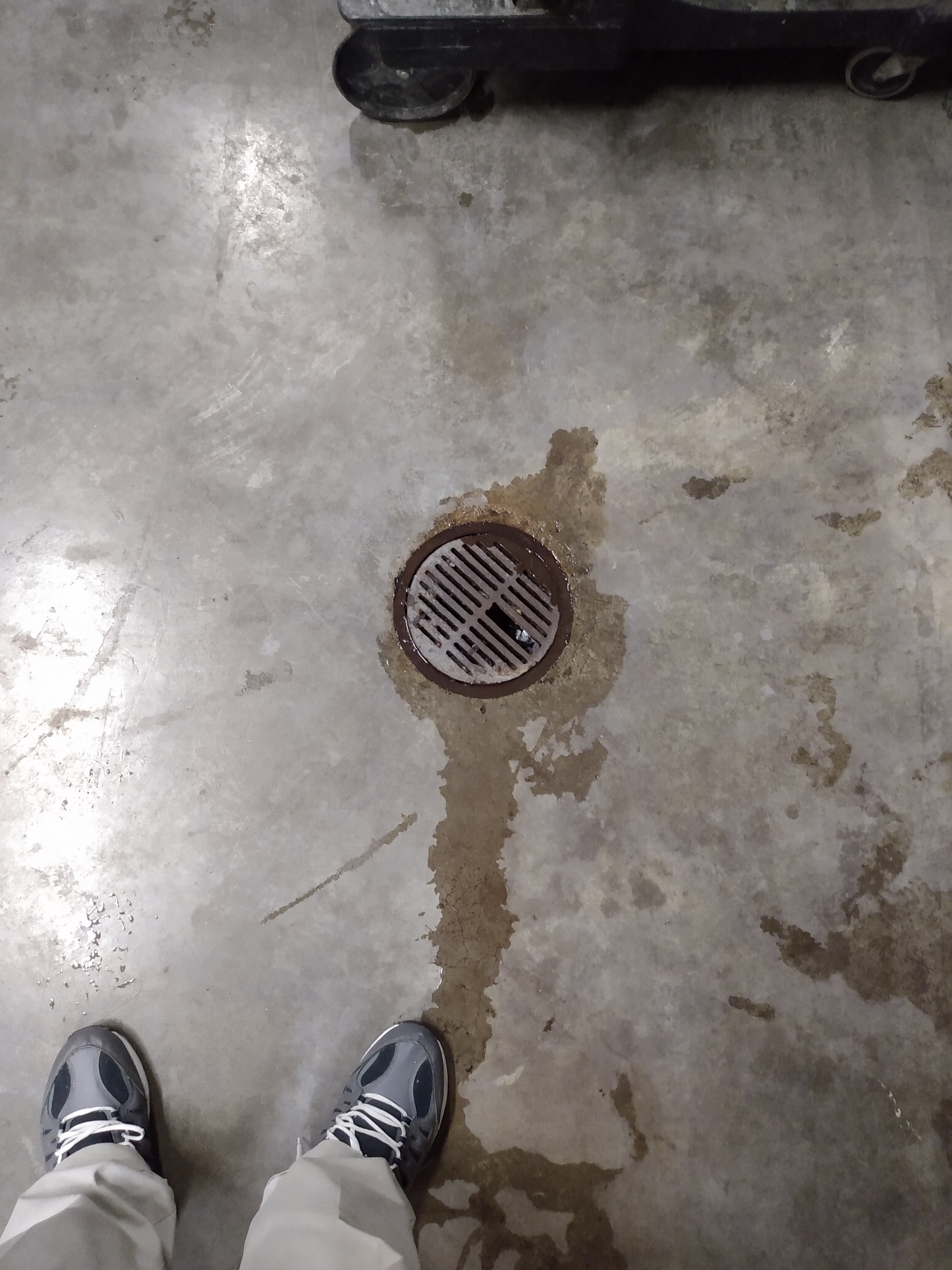 Floor Drain 3 Blank Meme Template